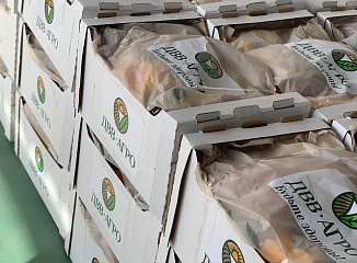 Не словом, а делом